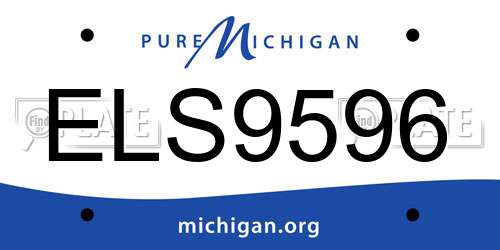 ELS9596 Michigan License Plate