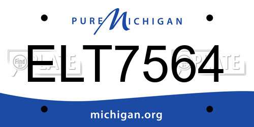 ELT7564 Michigan License Plate