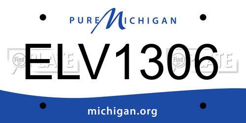 ELV1306 Michigan License Plate