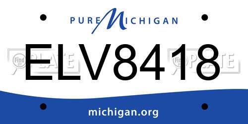 ELV8418 Michigan License Plate