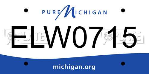 ELW0715 Michigan License Plate
