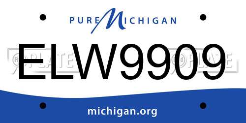ELW9909 Michigan License Plate