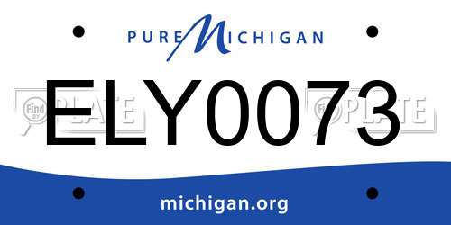 ELY0073 Michigan License Plate
