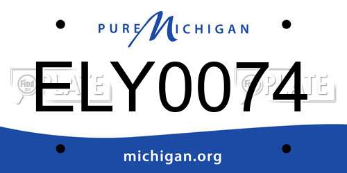 ELY0074 Michigan License Plate