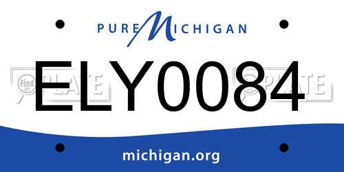 ELY0084 Michigan License Plate