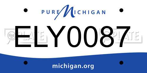 ELY0087 Michigan License Plate
