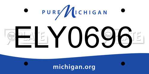 ELY0696 Michigan License Plate