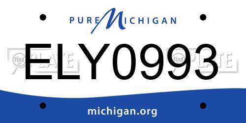 ELY0993 Michigan License Plate