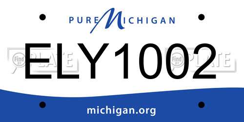 ELY1002 Michigan License Plate