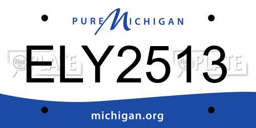 ELY2513 Michigan License Plate