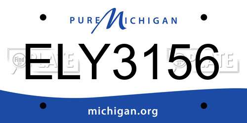 ELY3156 Michigan License Plate