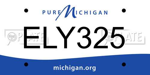 ELY325 Michigan License Plate