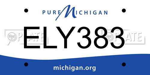 ELY383 Michigan License Plate