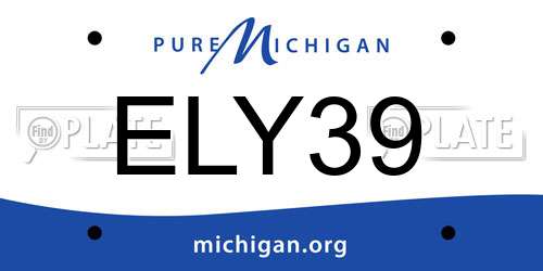 ELY39 Michigan License Plate