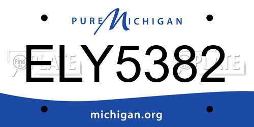 ELY5382 Michigan License Plate