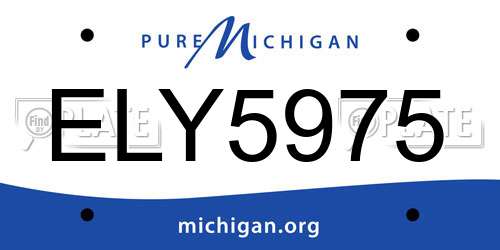 ELY5975 Michigan License Plate