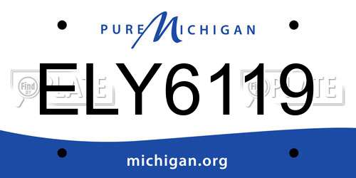 ELY6119 Michigan License Plate