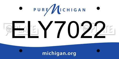 ELY7022 Michigan License Plate