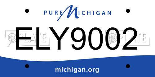 ELY9002 Michigan License Plate