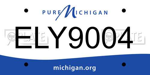 ELY9004 Michigan License Plate