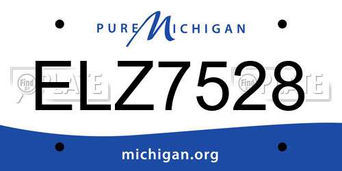 ELZ7528 Michigan License Plate