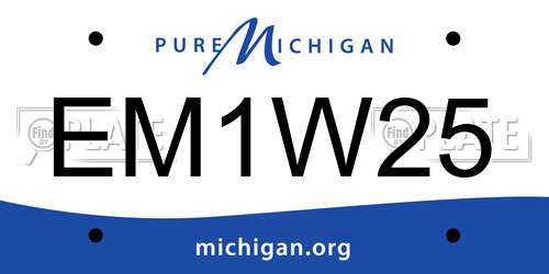 EM1W25 Michigan License Plate