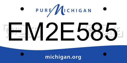 EM2E585 Michigan License Plate
