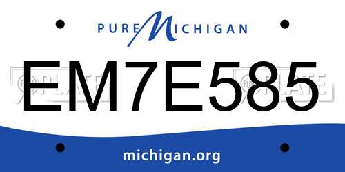 EM7E585 Michigan License Plate