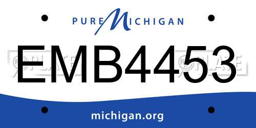EMB4453 Michigan License Plate