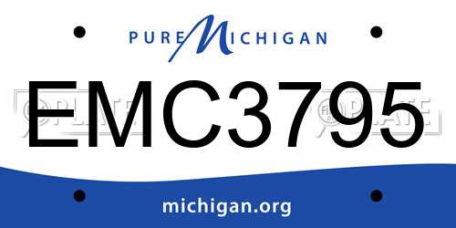 EMC3795 Michigan License Plate
