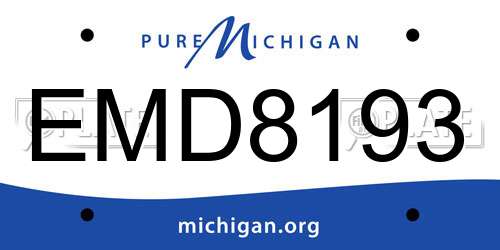 EMD8193 Michigan License Plate