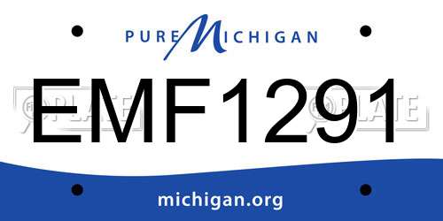 EMF1291 Michigan License Plate
