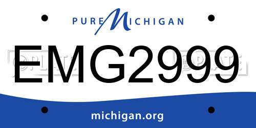 EMG2999 Michigan License Plate