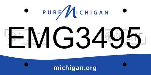 EMG3495 Michigan License Plate