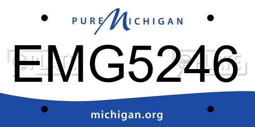 EMG5246 Michigan License Plate