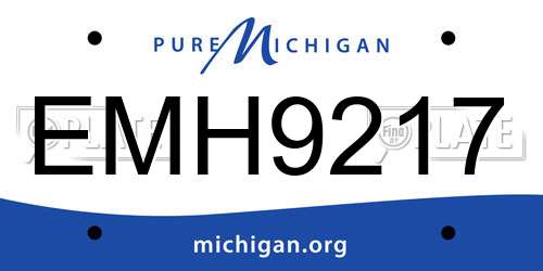 EMH9217 Michigan License Plate