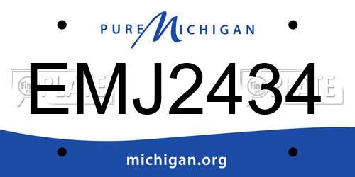 EMJ2434 Michigan License Plate