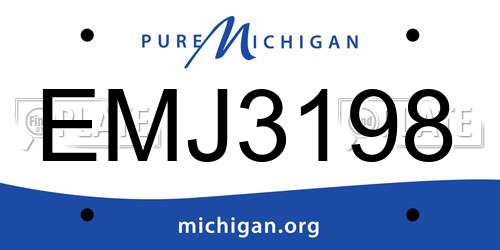 EMJ3198 Michigan License Plate