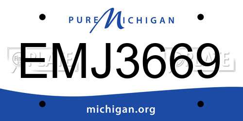 EMJ3669 Michigan License Plate