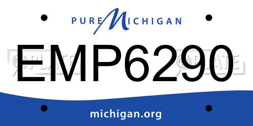 EMP6290 Michigan License Plate