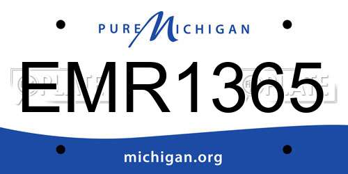 EMR1365 Michigan License Plate