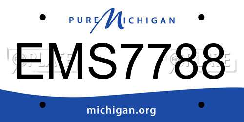 EMS7788 Michigan License Plate