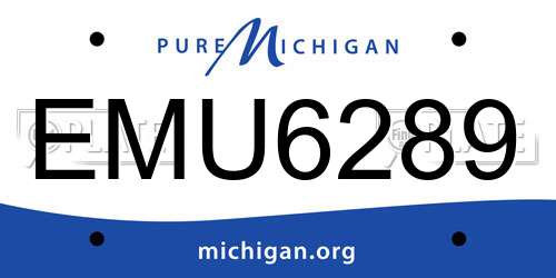 EMU6289 Michigan License Plate