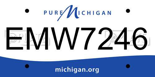 EMW7246 Michigan License Plate