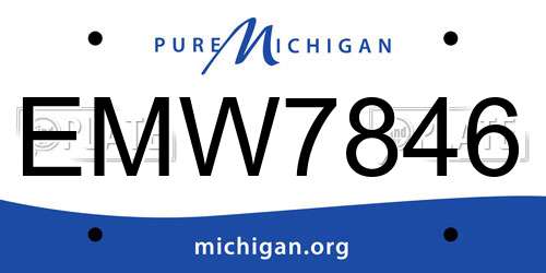 EMW7846 Michigan License Plate