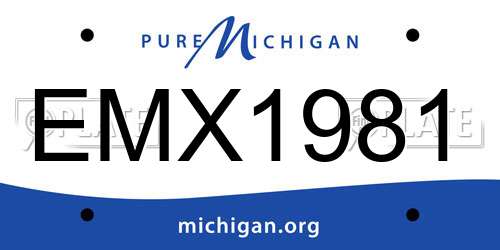 EMX1981 Michigan License Plate