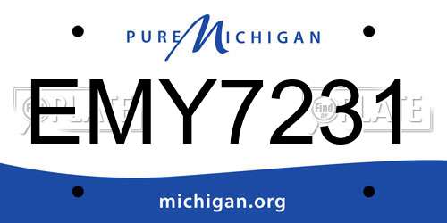 EMY7231 Michigan License Plate