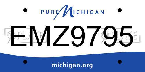 EMZ9795 Michigan License Plate