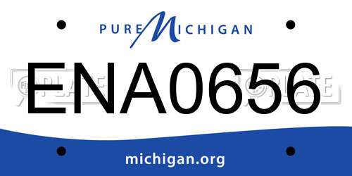 ENA0656 Michigan License Plate