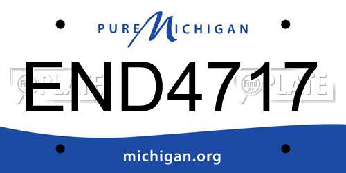 END4717 Michigan License Plate